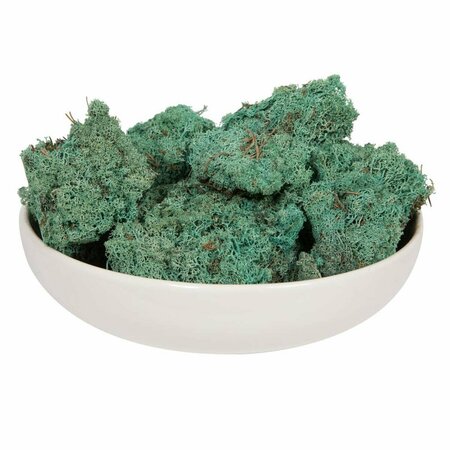 DARE2DECOR 9 lbs Reindeer Moss, Teal DA3255003